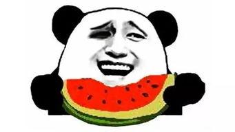 吃瓜时刻